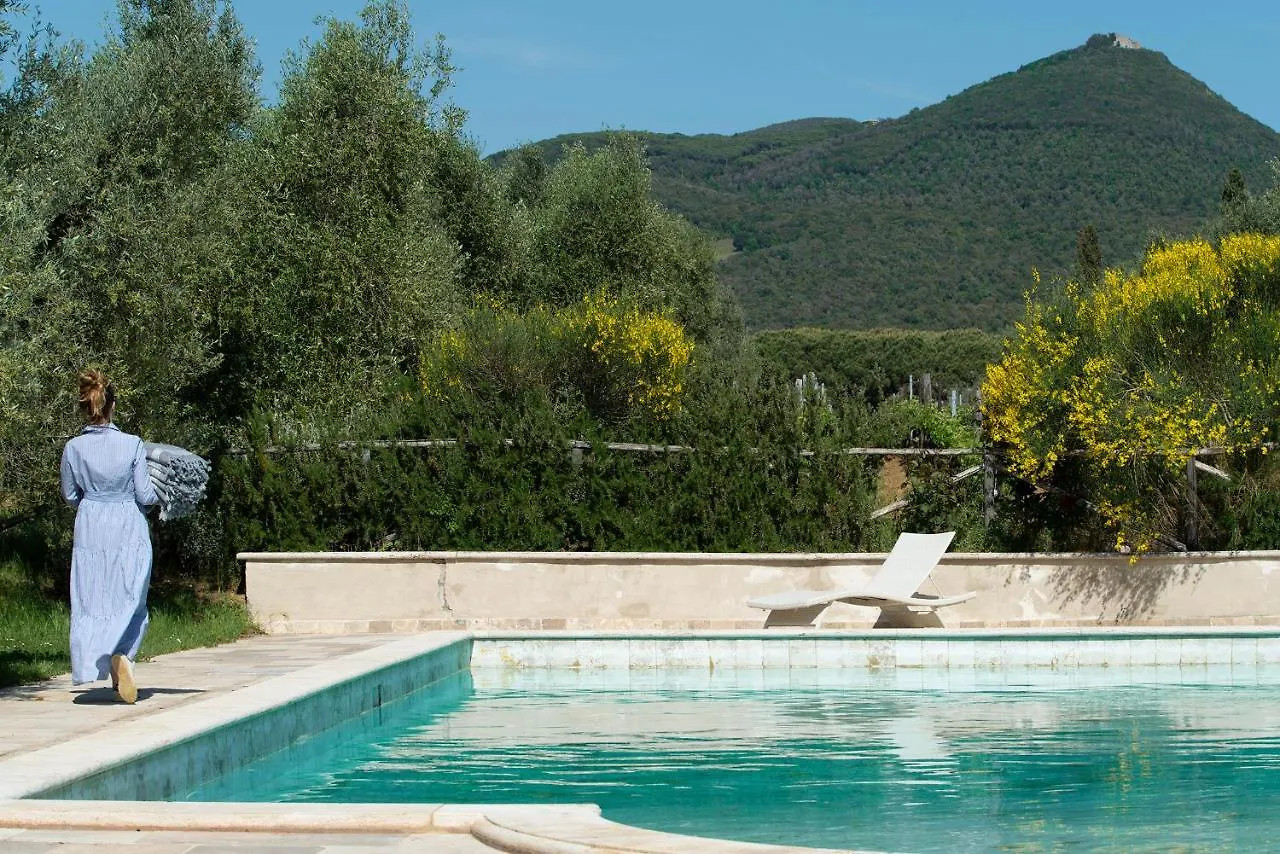 Bauernhof Agriturismo Tra Gli Ulivi, Chiappini Winery Bolgheri