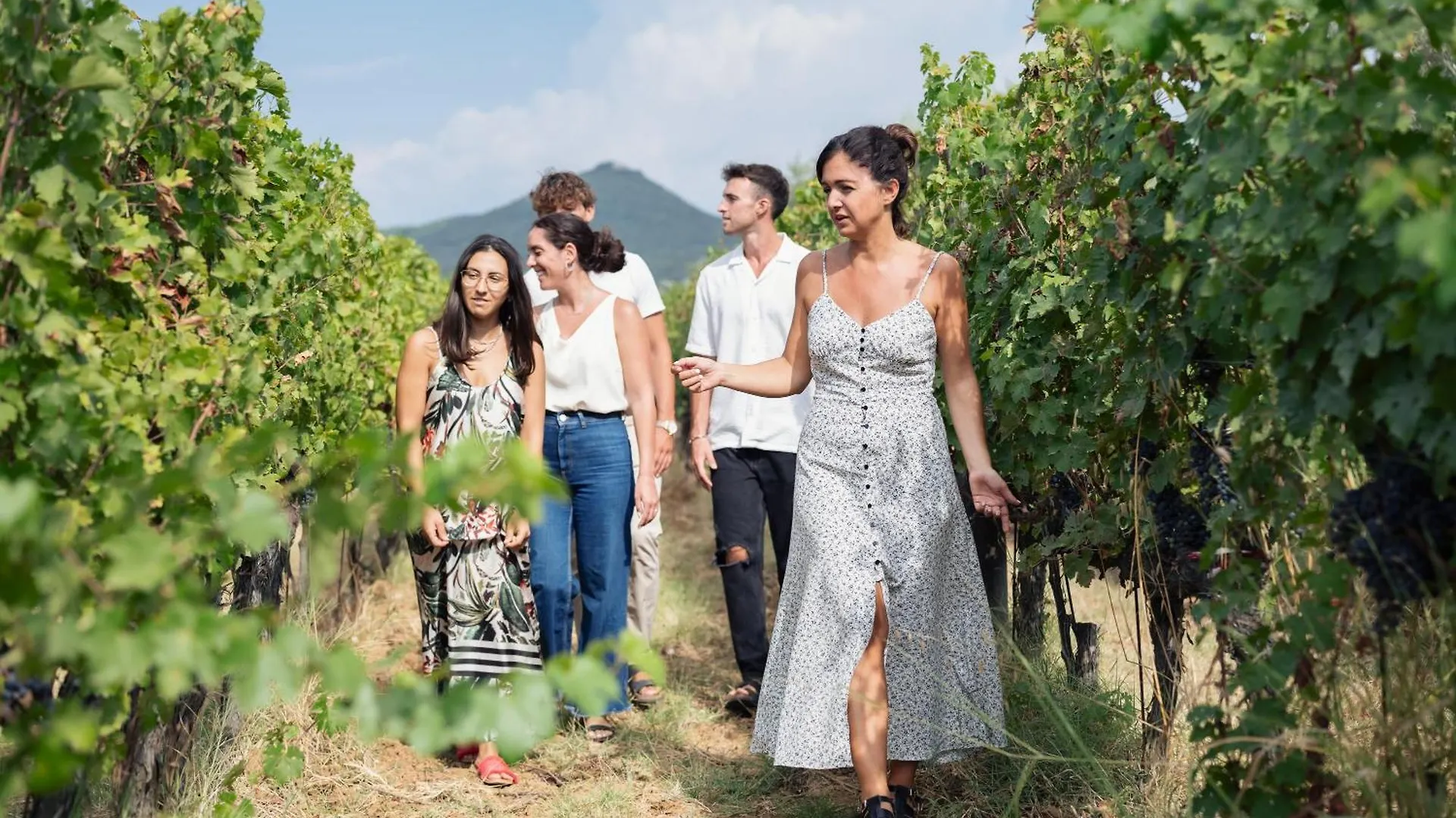 Bauernhof Agriturismo Tra Gli Ulivi, Chiappini Winery Bolgheri