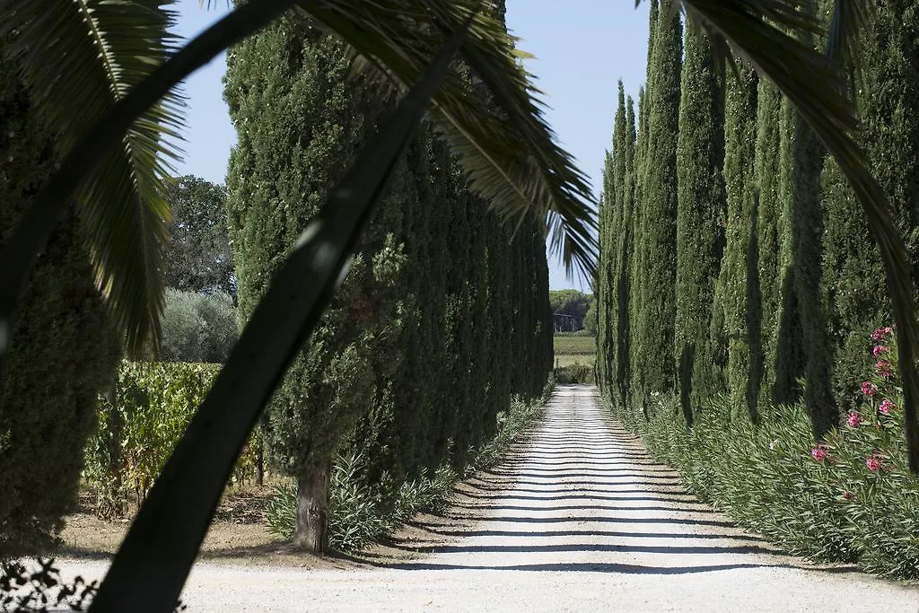 Bauernhof Agriturismo Tra Gli Ulivi, Chiappini Winery Bolgheri Italien