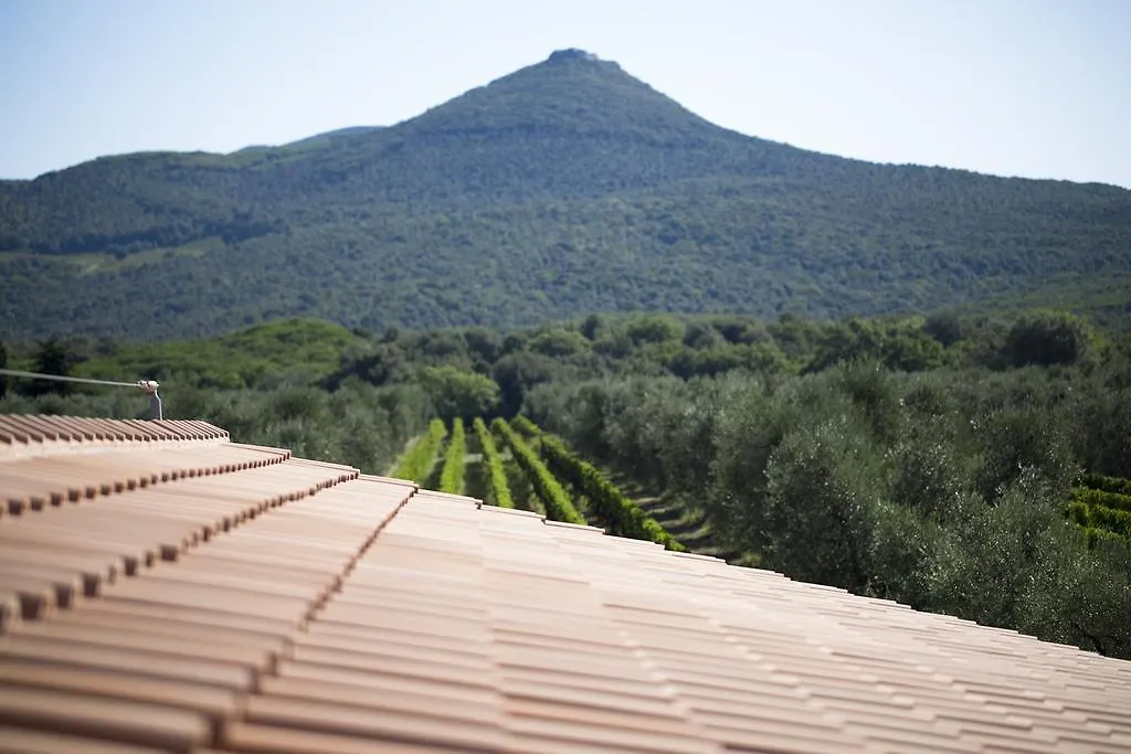 Agriturismo Tra Gli Ulivi, Chiappini Winery Bolgheri 0*,