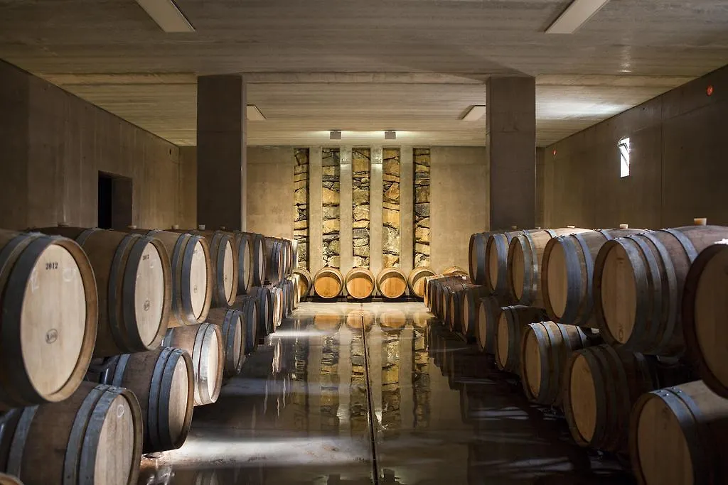 Agriturismo Tra Gli Ulivi, Chiappini Winery Bolgheri