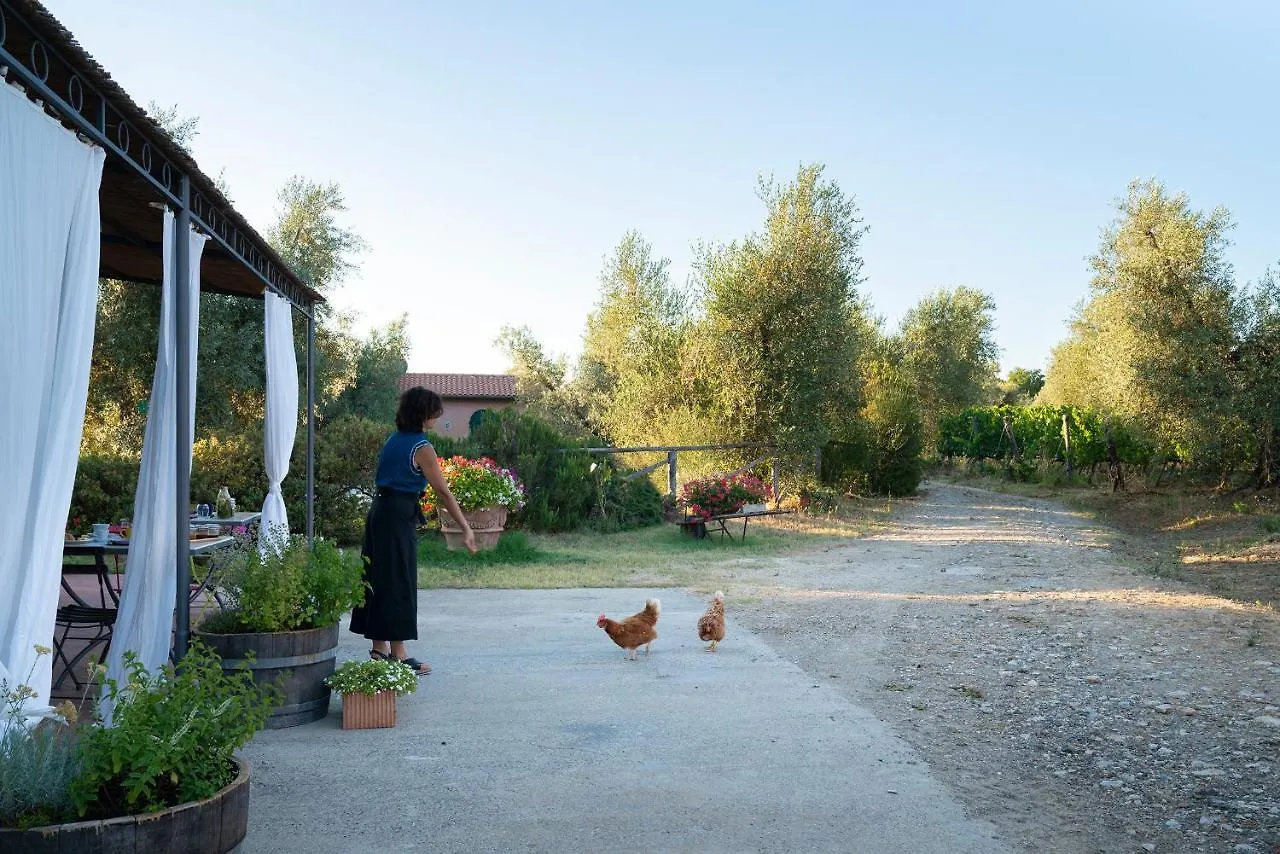 Agriturismo Tra Gli Ulivi, Chiappini Winery Bolgheri Farm stay