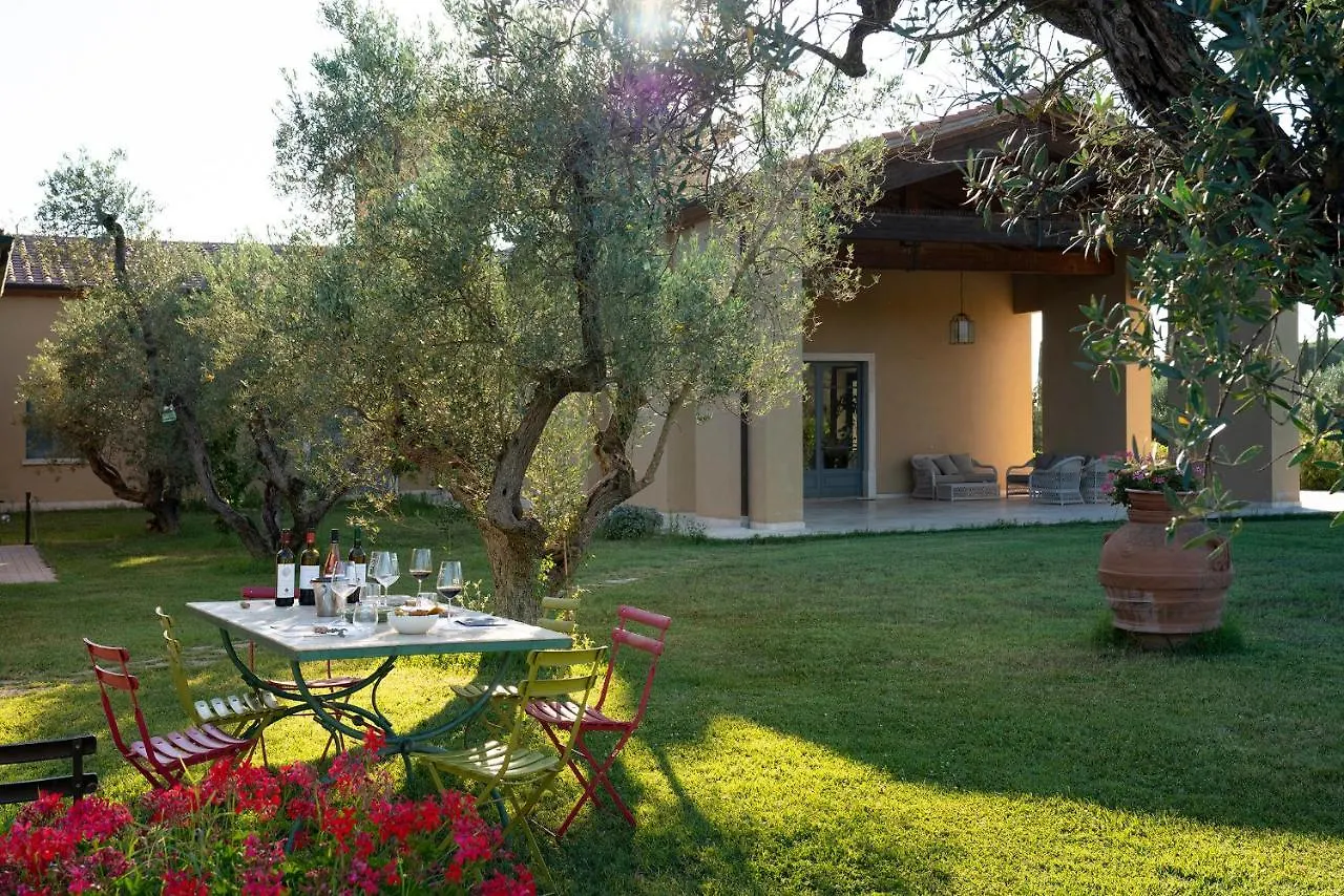 Agriturismo Tra Gli Ulivi, Chiappini Winery Bolgheri Farm stay