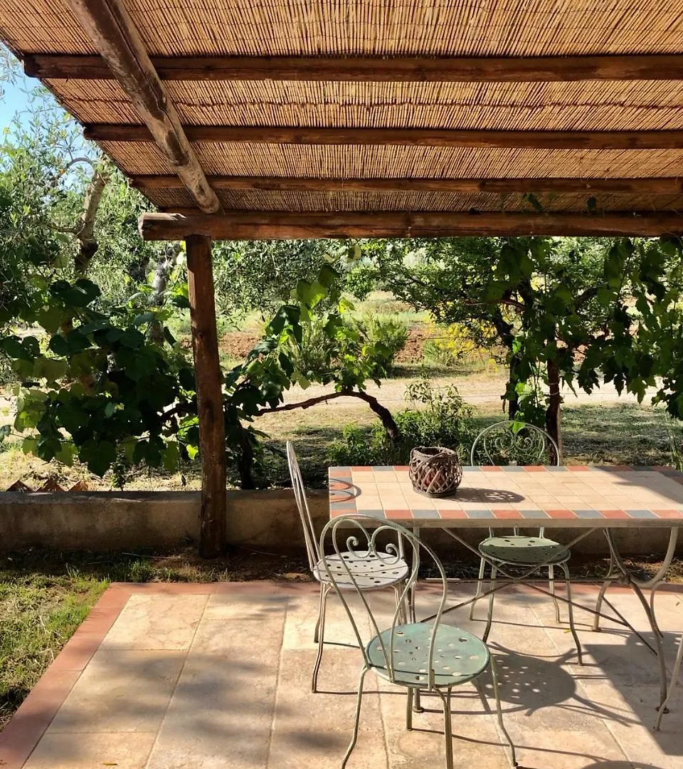 Farm stay Agriturismo Tra Gli Ulivi, Chiappini Winery Bolgheri