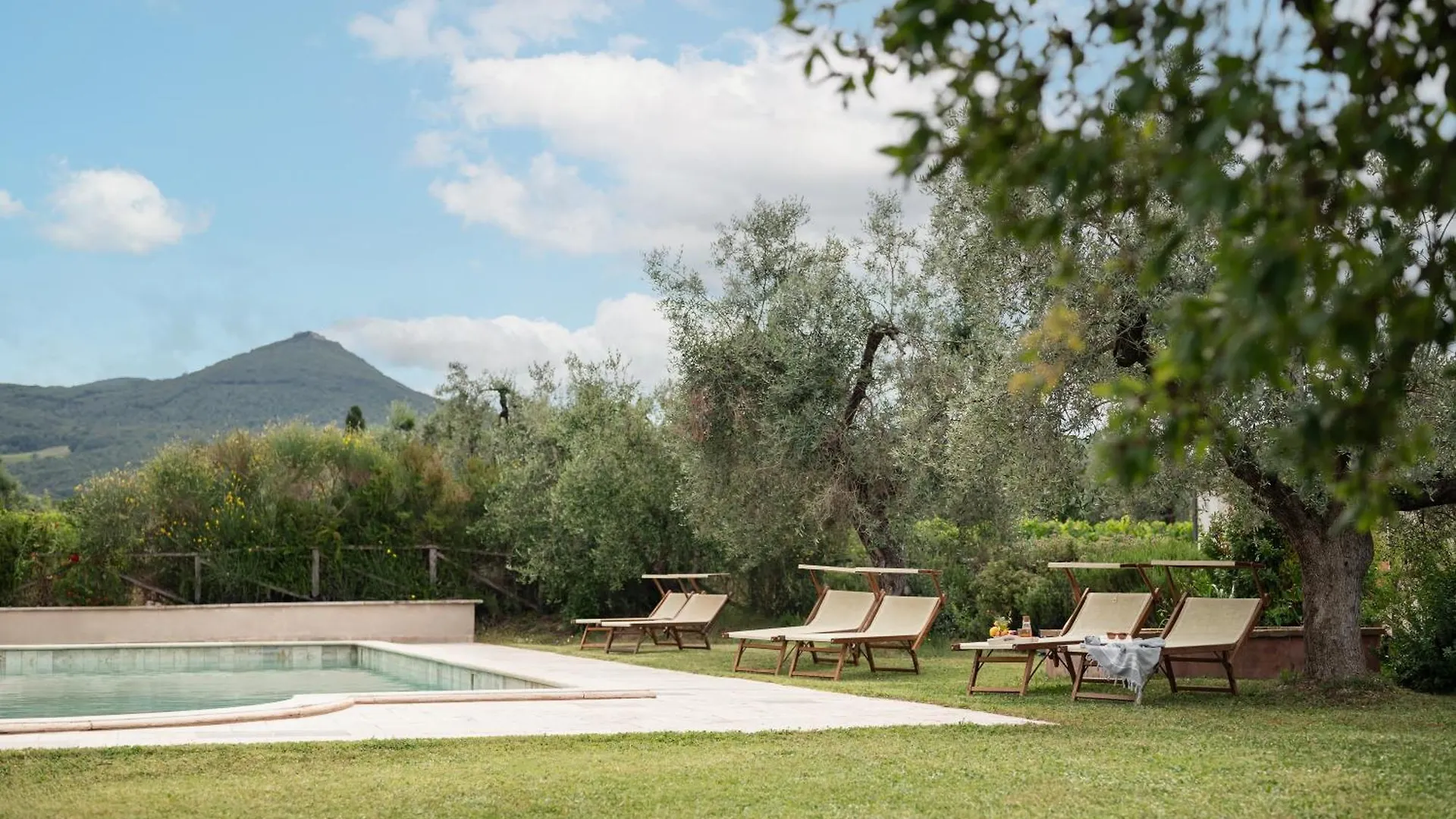 Agriturismo Tra Gli Ulivi, Chiappini Winery Bolgheri 0*,