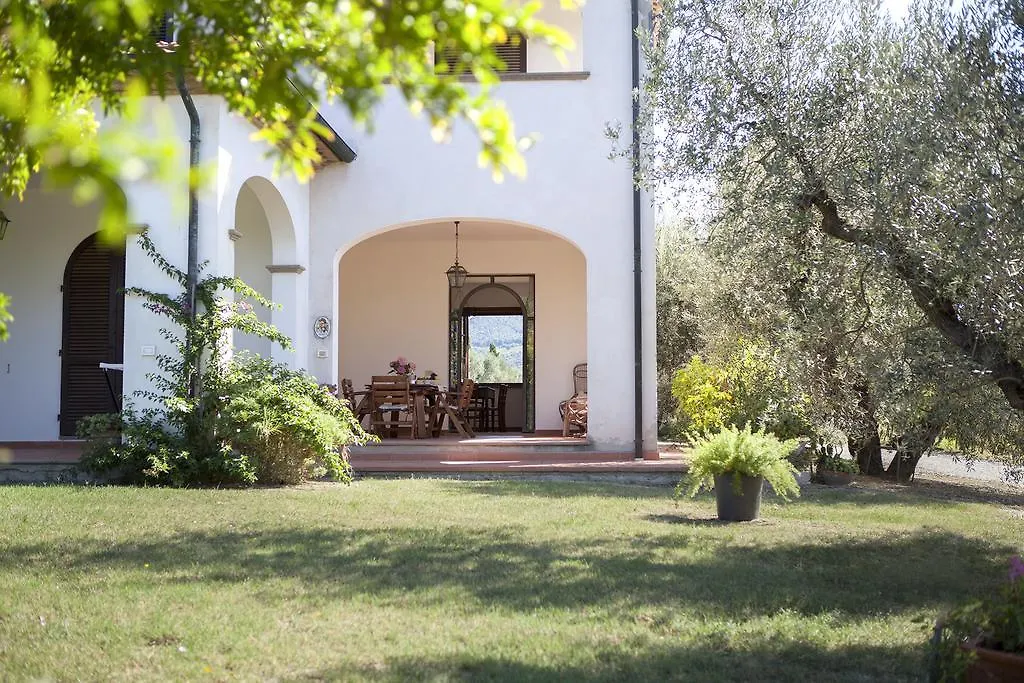 Farm stay Agriturismo Tra Gli Ulivi, Chiappini Winery Bolgheri Italy