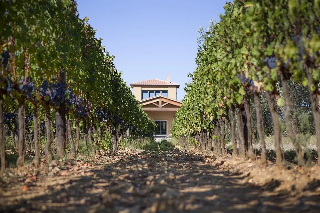 Farm stay Agriturismo Tra Gli Ulivi, Chiappini Winery Bolgheri