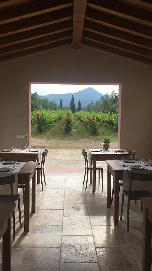 Farm stay Agriturismo Tra Gli Ulivi, Chiappini Winery Bolgheri